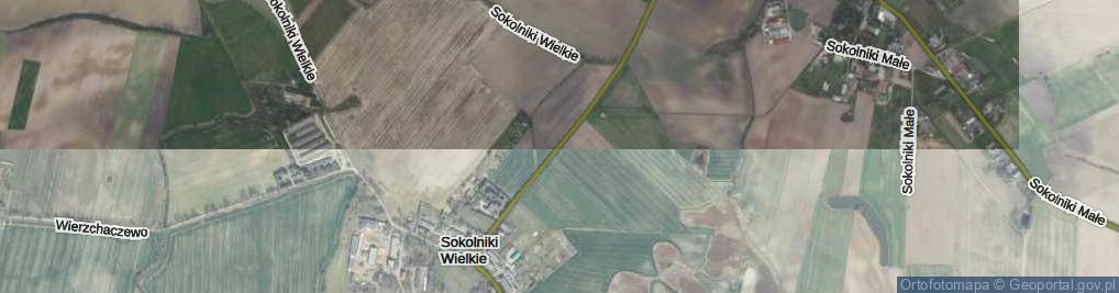 Zdjęcie satelitarne Sokolniki Wielkie ul.